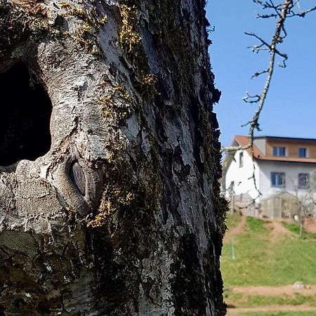 Coeur Vert Oekologisch Mit Viel Ambiente Fuer Seelen-Wellness Ronchamp Szoba fotó